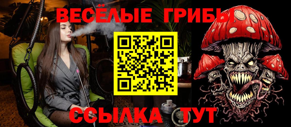 Санкт-Петербург  Галлюциногенные грибы Cubensis  Вход с VPN 
